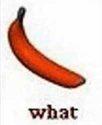 230