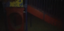398