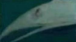 546
